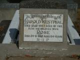 image of grave number 835164